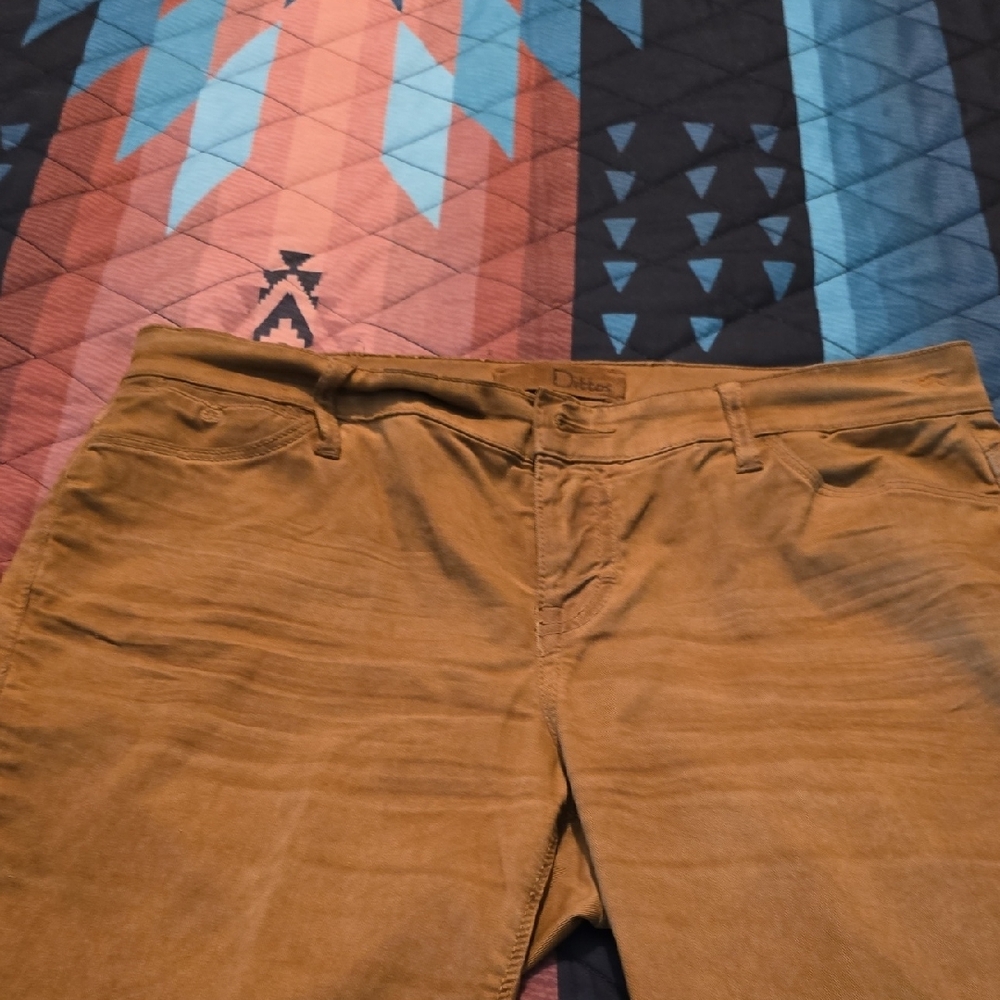 Dittos Women's Skinny Pants